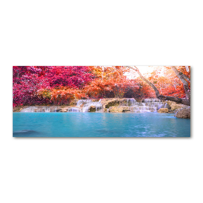 Quadro su vetro acrilico Cascata nella foresta