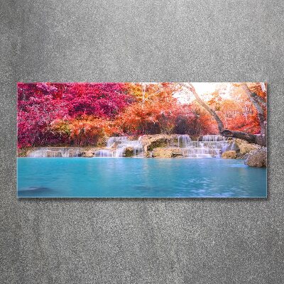 Quadro su vetro acrilico Cascata nella foresta