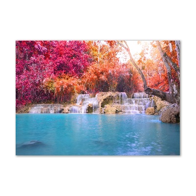 Quadro su vetro acrilico Cascata nella foresta