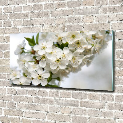 Quadro in vetro acrilico Fiori di ciliegio