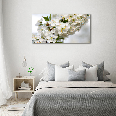 Quadro in vetro acrilico Fiori di ciliegio