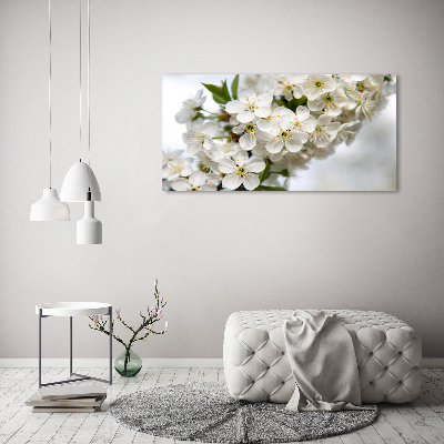 Quadro in vetro acrilico Fiori di ciliegio