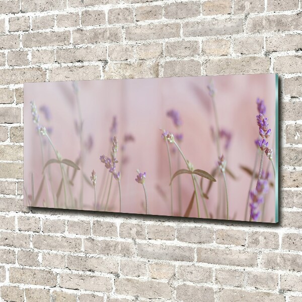Quadro in vetro acrilico Lavanda