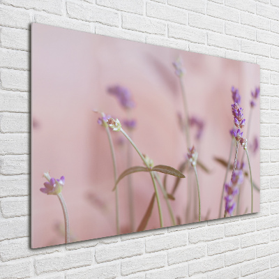 Quadro in vetro acrilico Lavanda