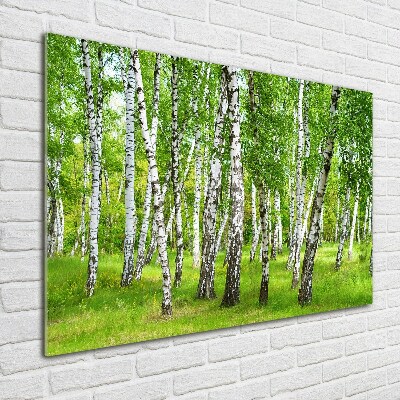 Quadro in vetro acrilico Foresta di betulle