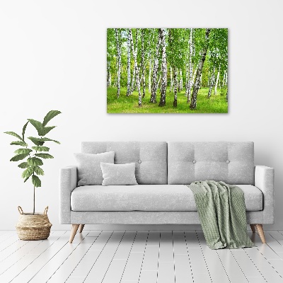 Quadro in vetro acrilico Foresta di betulle