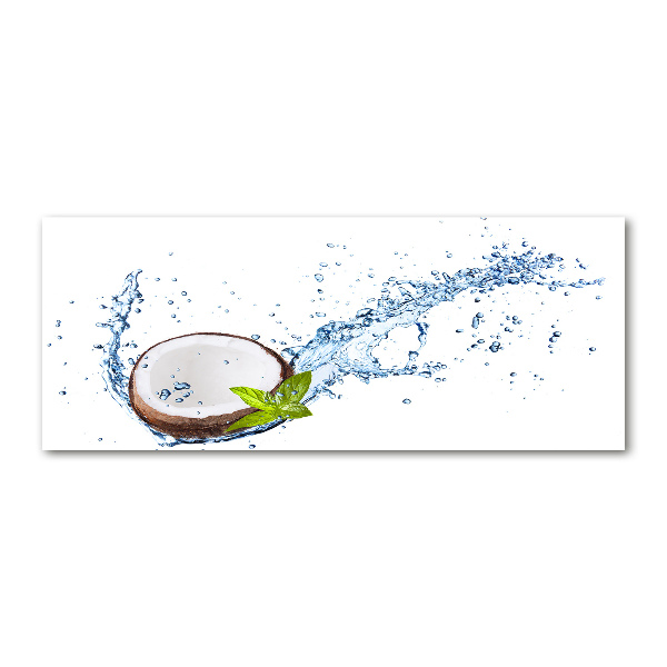 Quadro in vetro acrilico Cocco e acqua