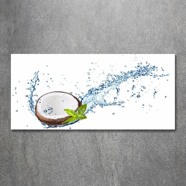 Quadro in vetro acrilico Cocco e acqua