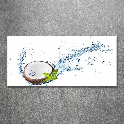 Quadro in vetro acrilico Cocco e acqua