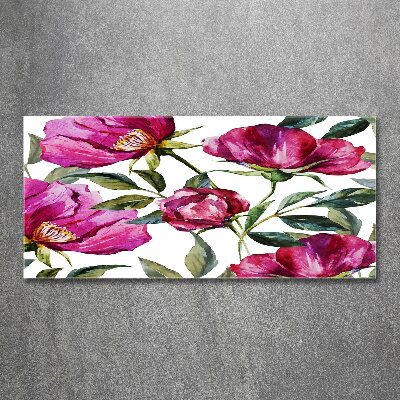 Quadro in vetro acrilico Peonie rosa