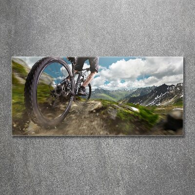Quadro vetro acrilico Mountain bike