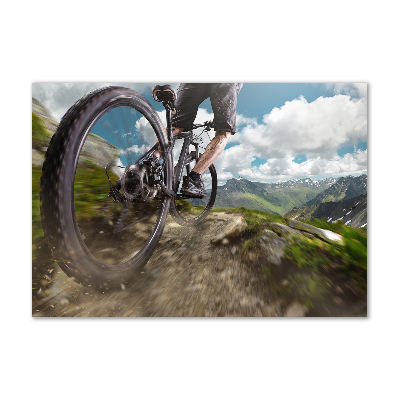 Quadro vetro acrilico Mountain bike