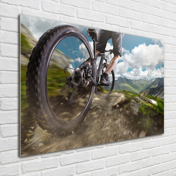 Quadro vetro acrilico Mountain bike