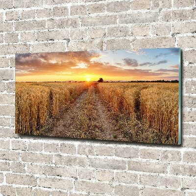 Quadro vetro acrilico Campo di grano