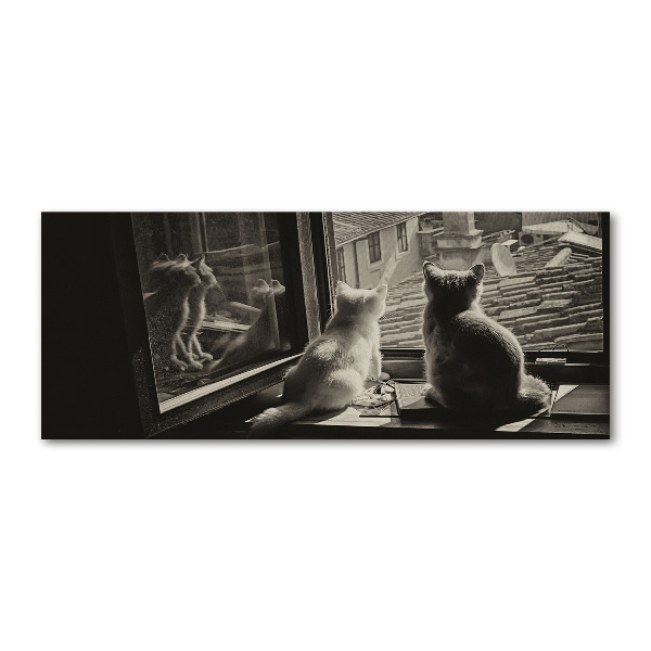 Quadro in vetro acrilico Gatti alla finestra