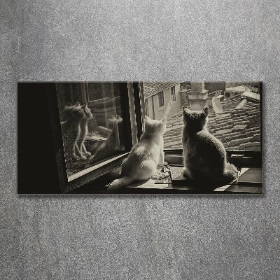 Quadro in vetro acrilico Gatti alla finestra