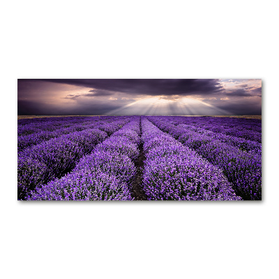 Quadro su vetro acrilico Campo di lavanda