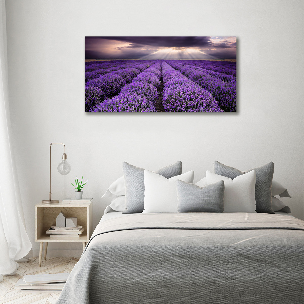 Quadro su vetro acrilico Campo di lavanda