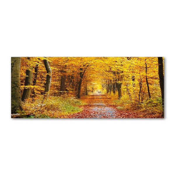 Quadro in vetro acrilico Foresta in autunno
