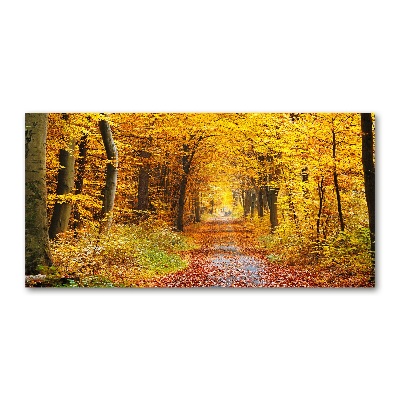 Quadro in vetro acrilico Foresta in autunno