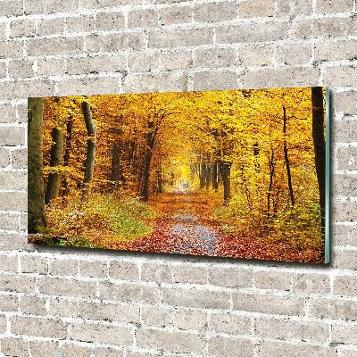 Quadro in vetro acrilico Foresta in autunno