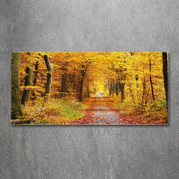 Quadro in vetro acrilico Foresta in autunno