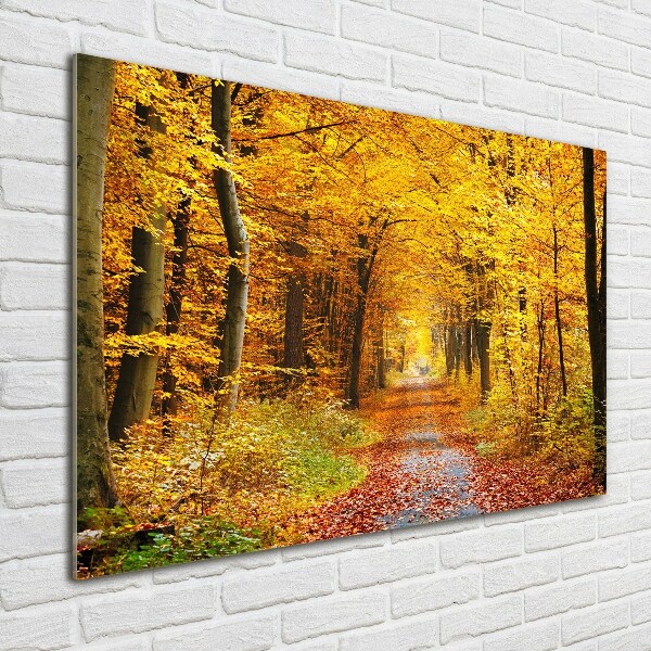 Quadro in vetro acrilico Foresta in autunno