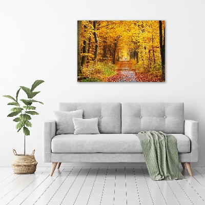 Quadro in vetro acrilico Foresta in autunno