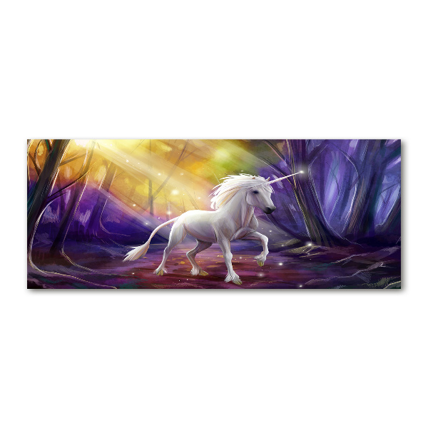 Quadro vetro acrilico Unicorno