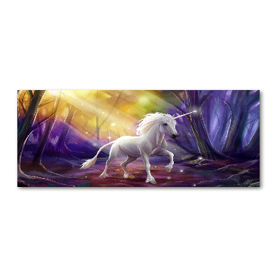 Quadro vetro acrilico Unicorno