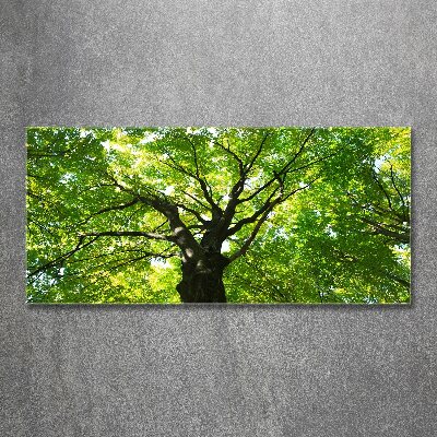 Quadro in vetro acrilico Foresta verde