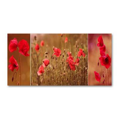 Quadro vetro acrilico Trittico dei papaveri