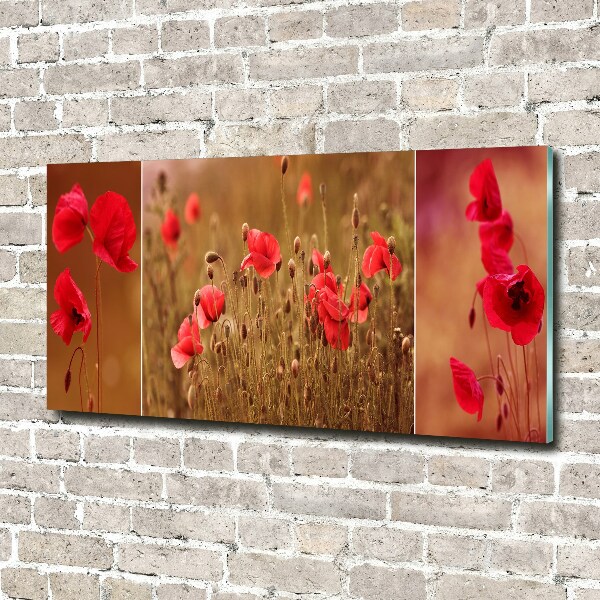 Quadro vetro acrilico Trittico dei papaveri