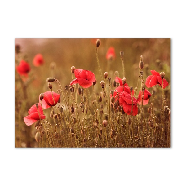 Quadro vetro acrilico Trittico dei papaveri
