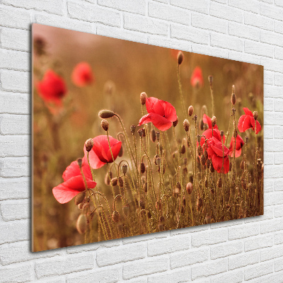 Quadro vetro acrilico Trittico dei papaveri