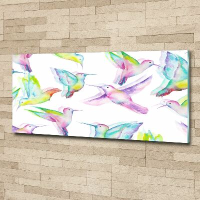 Quadro vetro acrilico Colibrì