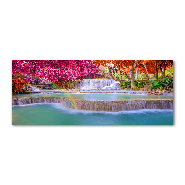 Quadro su vetro acrilico Cascata nella foresta