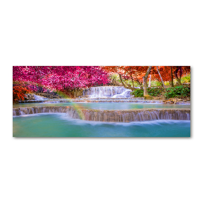 Quadro su vetro acrilico Cascata nella foresta