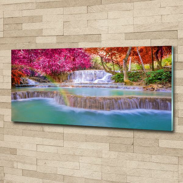 Quadro su vetro acrilico Cascata nella foresta