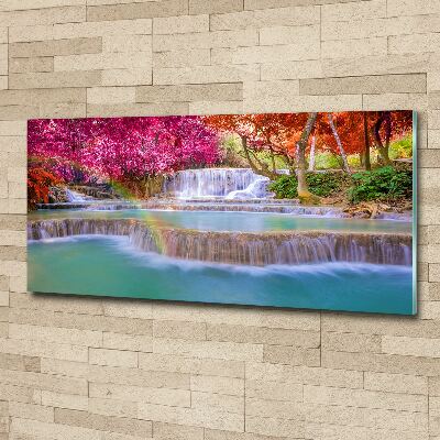Quadro su vetro acrilico Cascata nella foresta