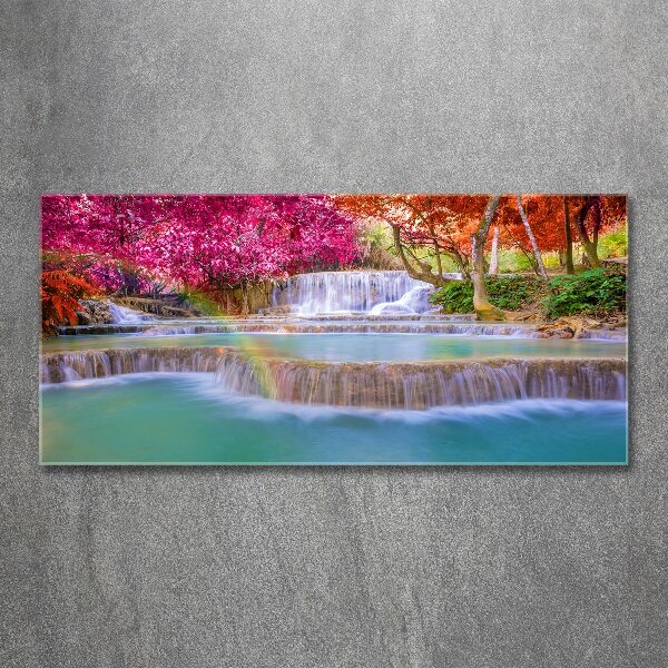 Quadro su vetro acrilico Cascata nella foresta