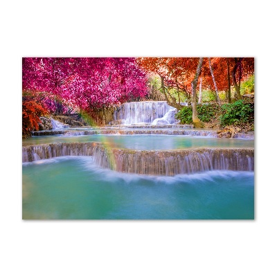 Quadro su vetro acrilico Cascata nella foresta