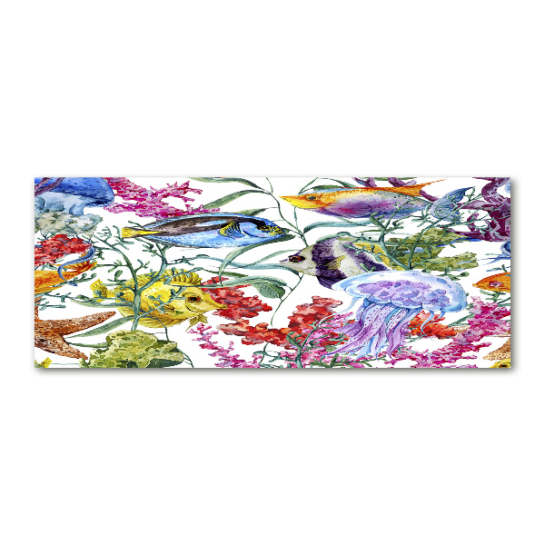 Quadro su vetro acrilico Barriera corallina