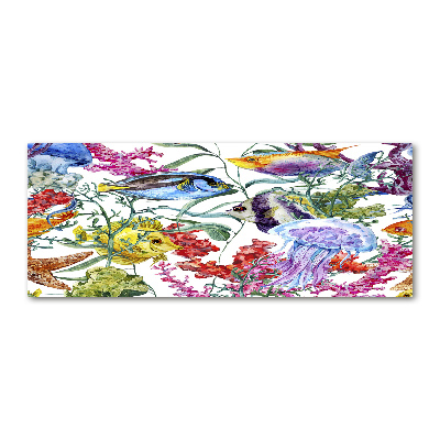 Quadro su vetro acrilico Barriera corallina