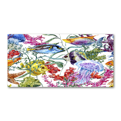 Quadro su vetro acrilico Barriera corallina