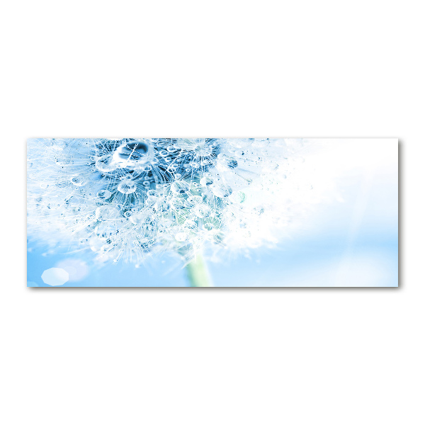 Quadro su vetro acrilico Dente di leone