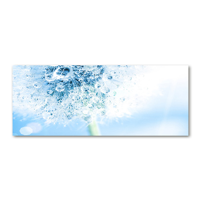 Quadro su vetro acrilico Dente di leone