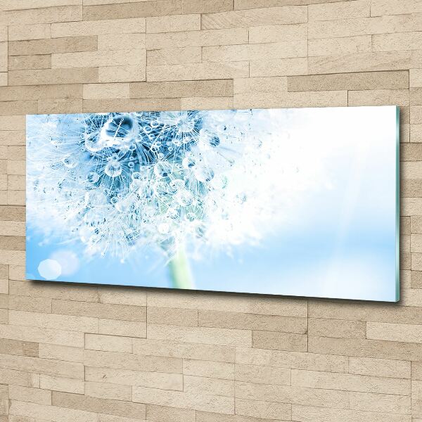 Quadro su vetro acrilico Dente di leone