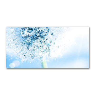 Quadro su vetro acrilico Dente di leone