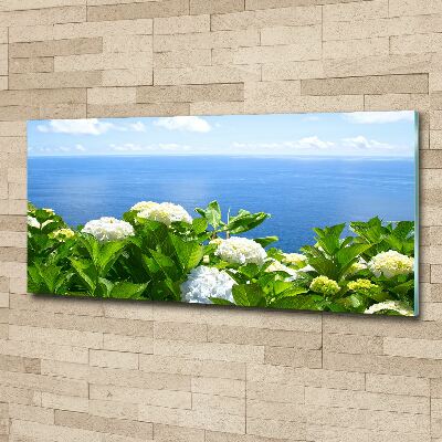 Quadro vetro acrilico Fiori in riva al mare